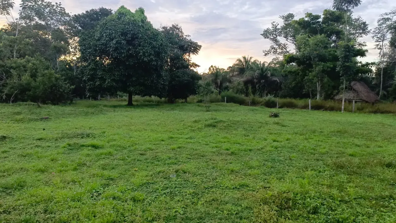 Foto 1 de En Venta 4.105 Hectáreas Sobre Carretera Zona Agrícola Guayaramerín, Beni