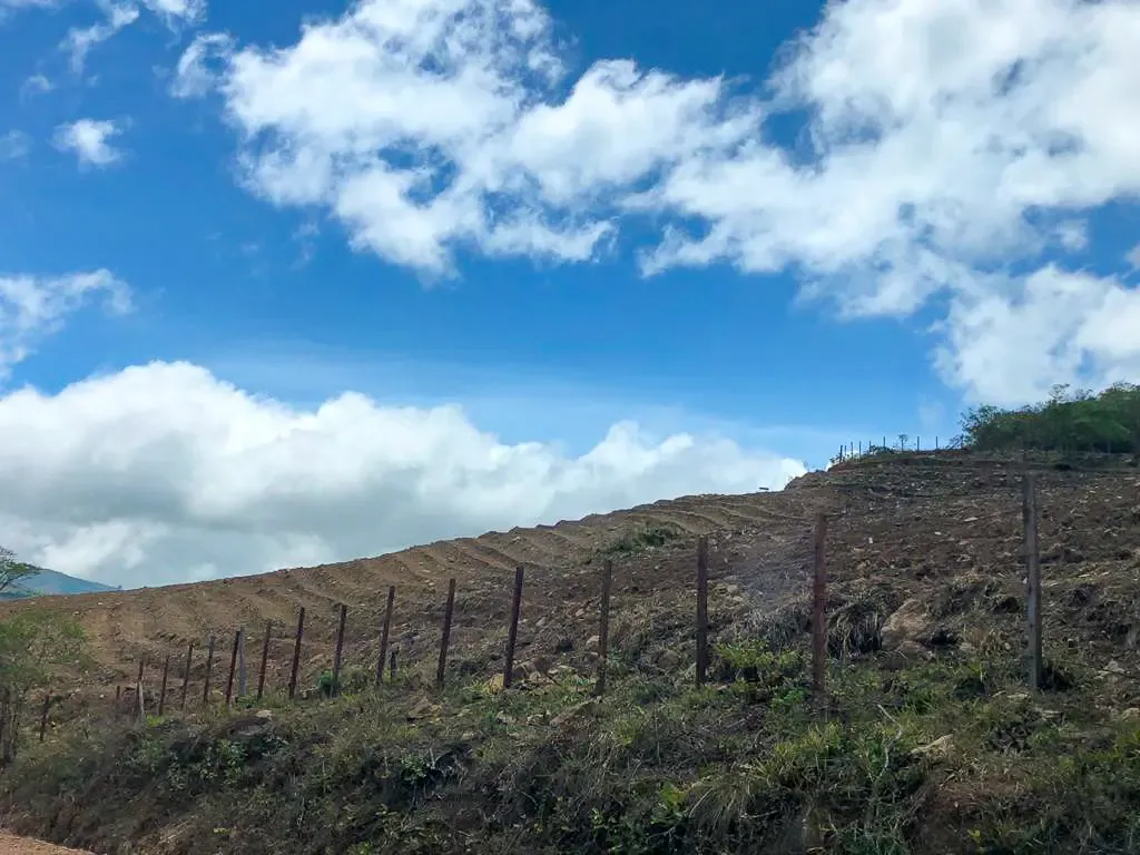 Foto 4 de Viñedo en Venta - Samaipata