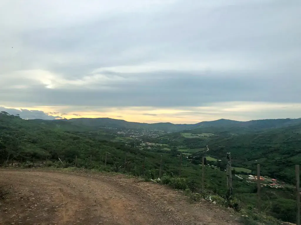 Foto 5 de Viñedo en Venta - Samaipata