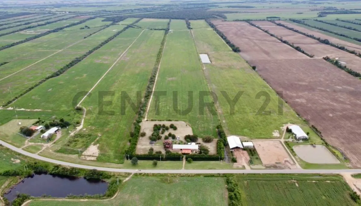 Foto 3 de Propiedad Agricola-Ganadera de 52.8 Ha en Venta Sobre Carretera