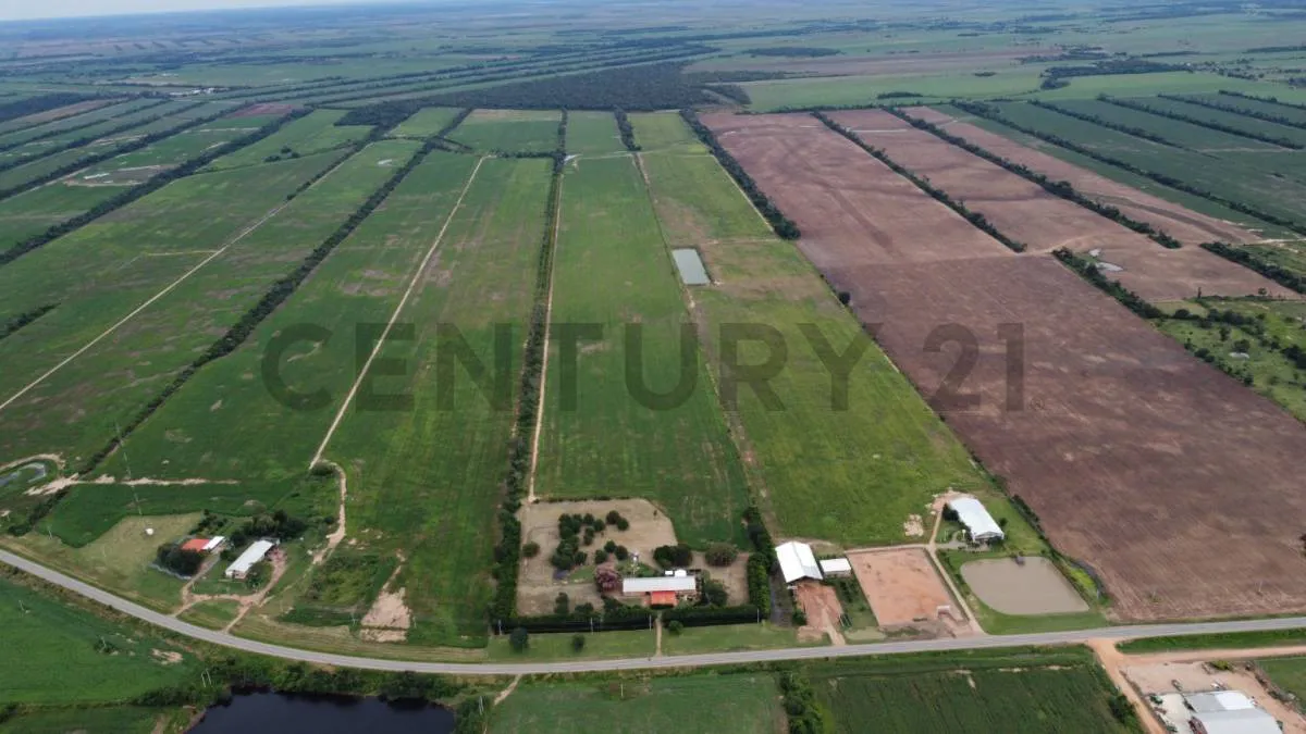 Foto 12 de Propiedad Agricola-Ganadera de 52.8 Ha en Venta Sobre Carretera