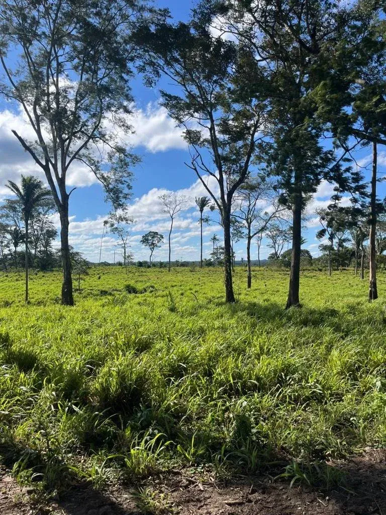 Foto 3 de Propiedad Agricola en Venta