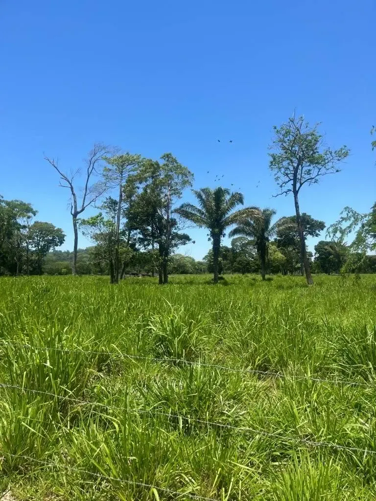 Foto 2 de Propiedad Agricola en Venta