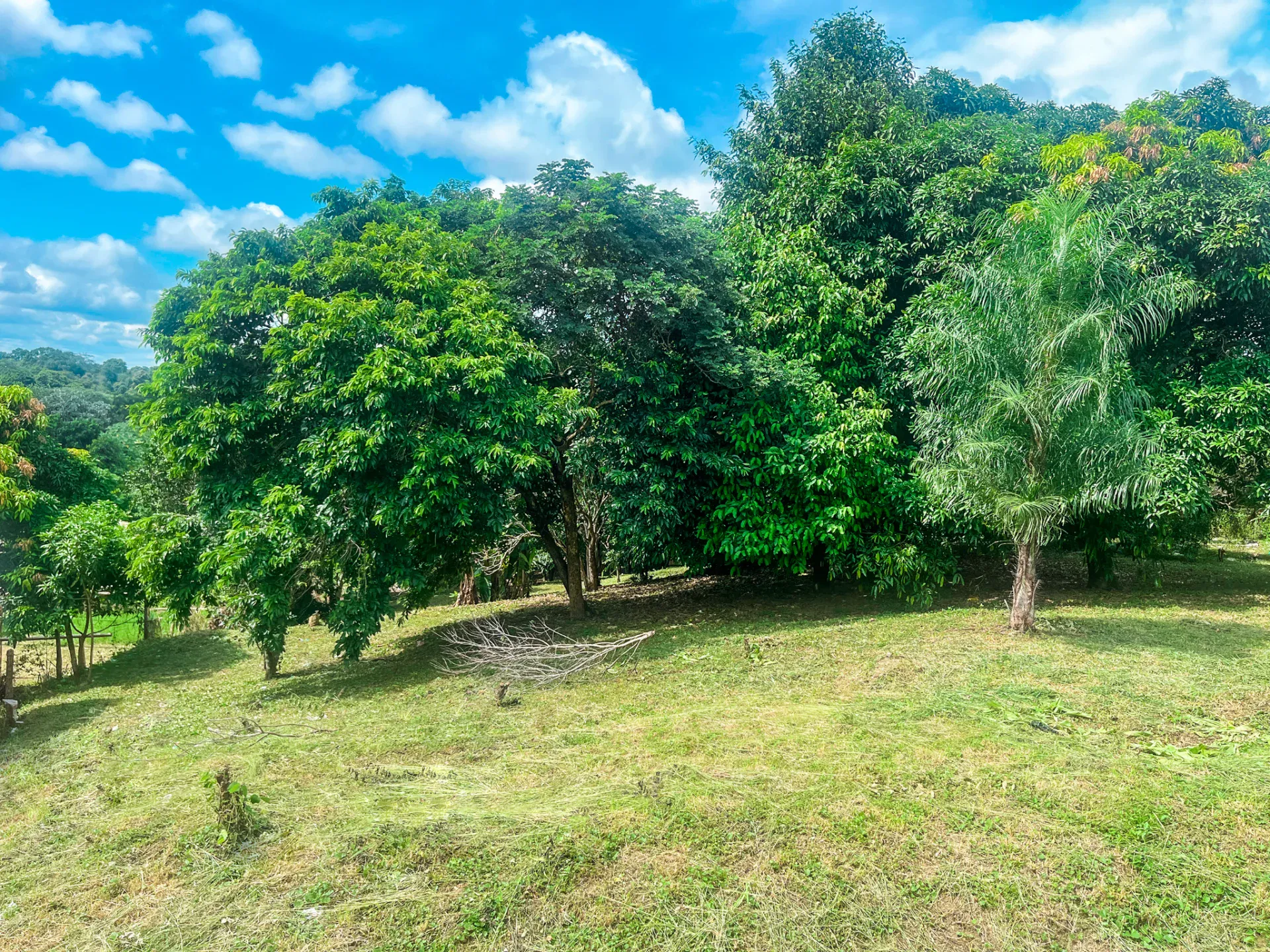 Foto 5 de Hermoso Terreno en Buena Vista