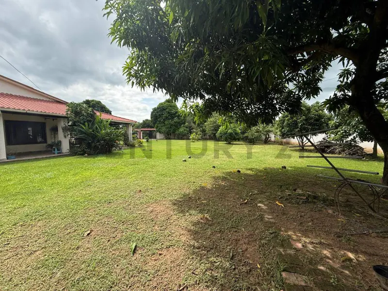 Foto 11 de Hermosa Quinta en venta en el Municipio de Saavedra