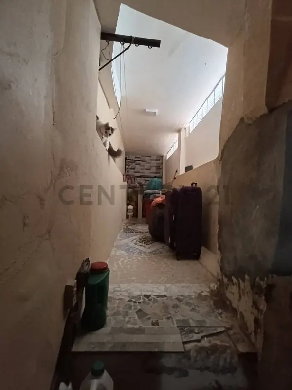 Foto 7 de Departamento en Venta en Planta Baja Cerca a La Facultad de Medicina