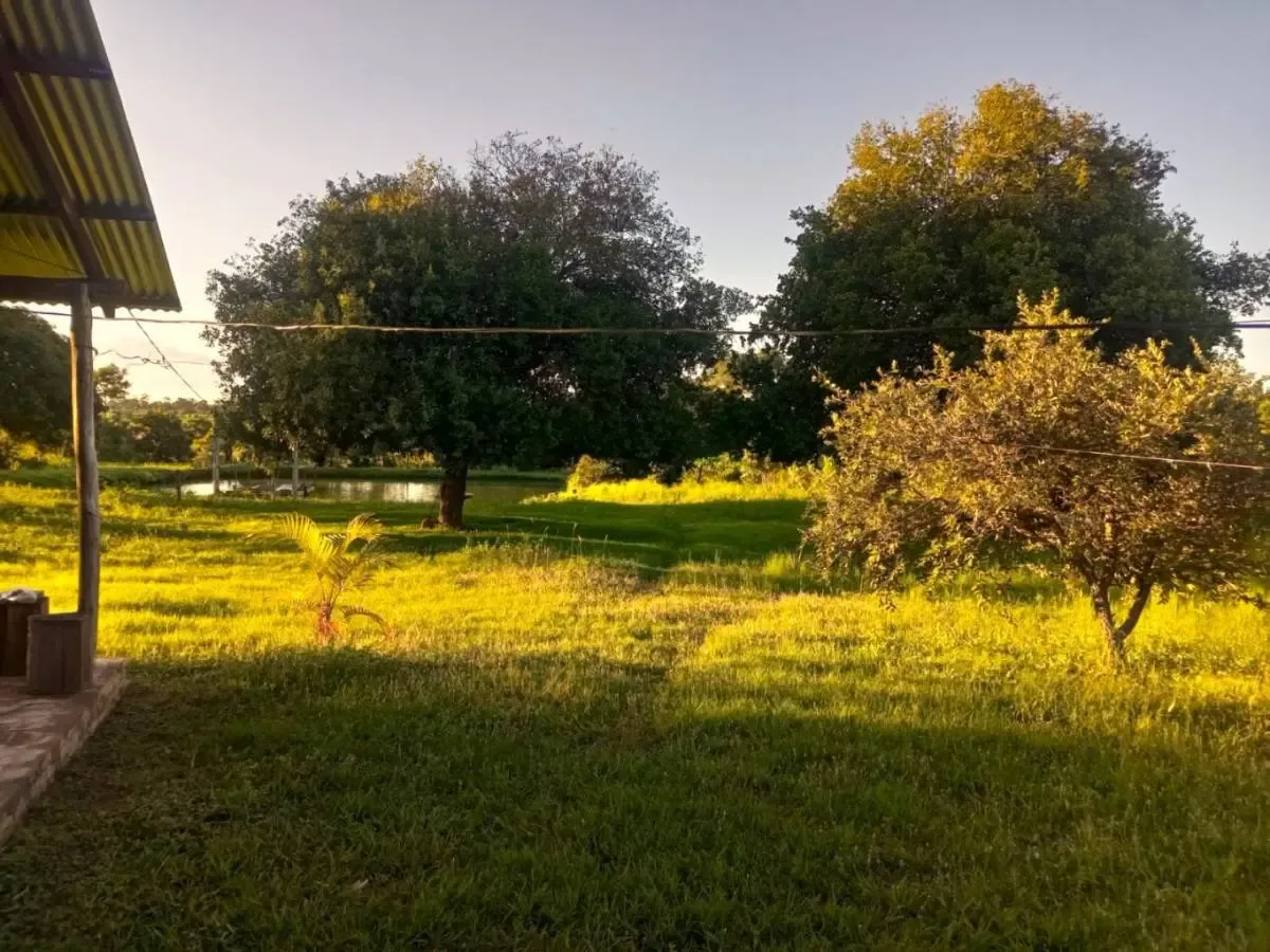 Foto 3 de Quinta en Venta, San Miguel de Velasco