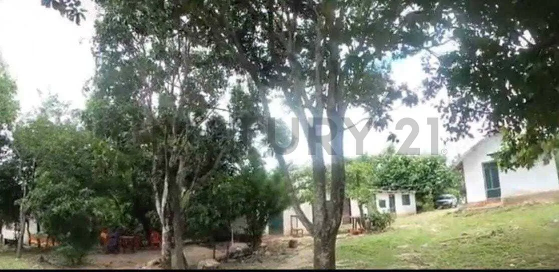 Foto 9 de Terreno en Venta