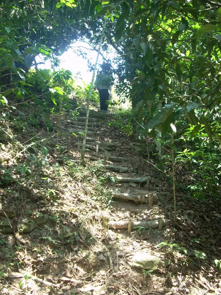 Foto 4 de coroico bonito terreno 3000 metros diferentes frutales, papaeles al dia