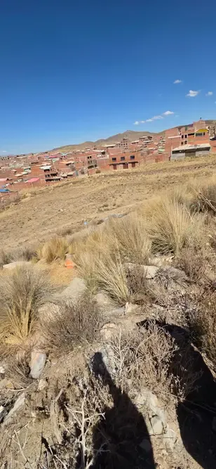 Foto 1 de Terreno 13.990m2
