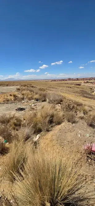 Foto 4 de Terreno 13.990m2