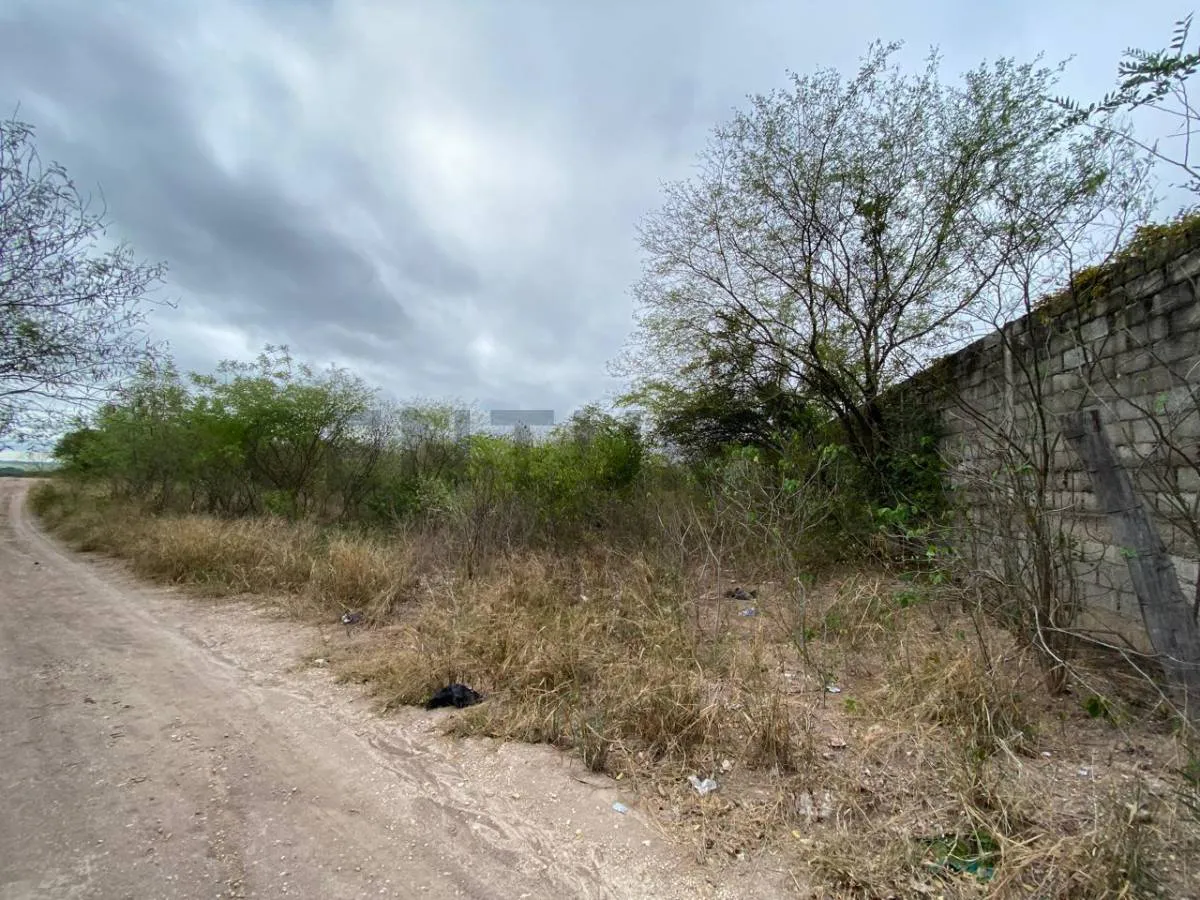 Foto 3 de Terreno en Venta en Puerto Suárez