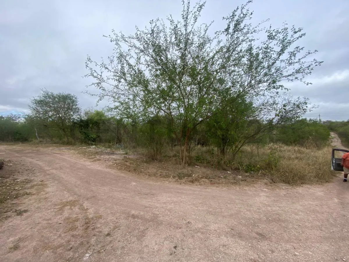 Foto 2 de Terreno en Venta en Puerto Suárez