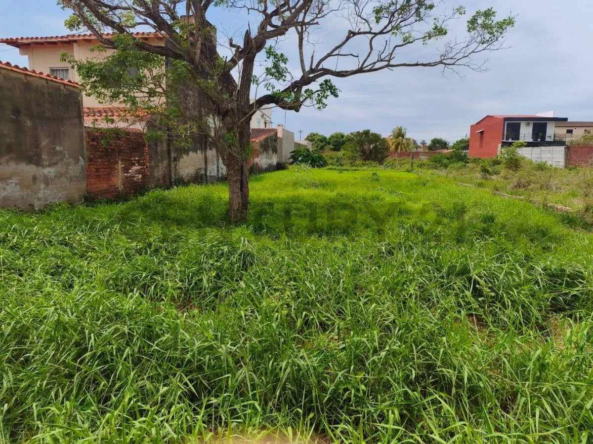 Foto 1 de Terreno en Venta en Zona Universitaria
