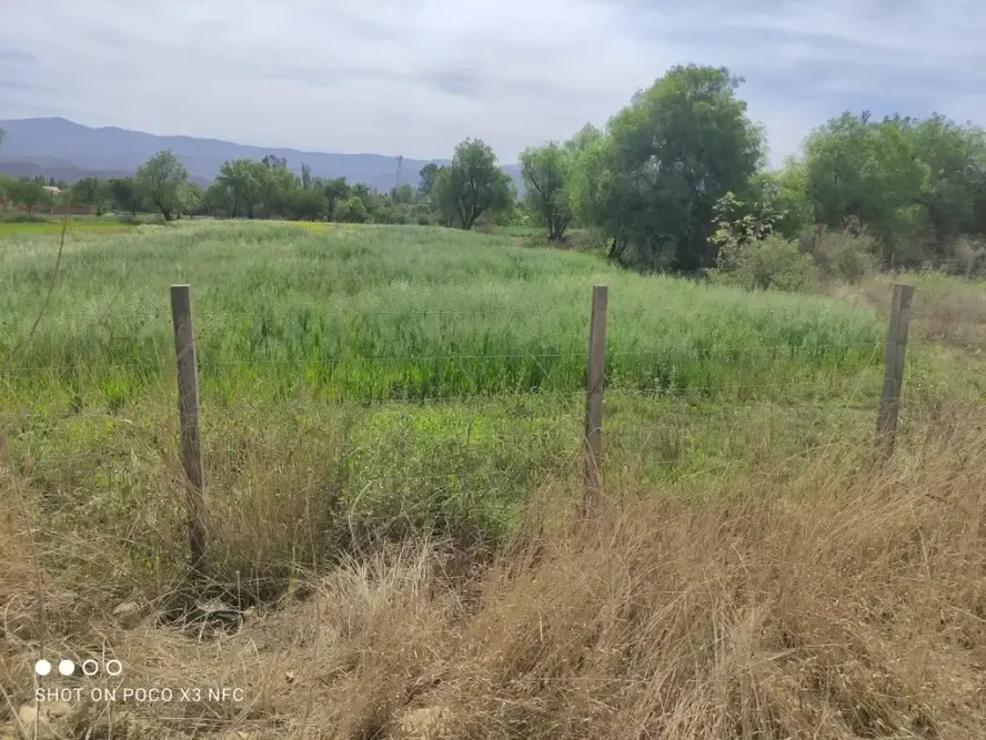 Foto 3 de Lote tu mejor inversión en ciudad de san Lorenzo - Tarija