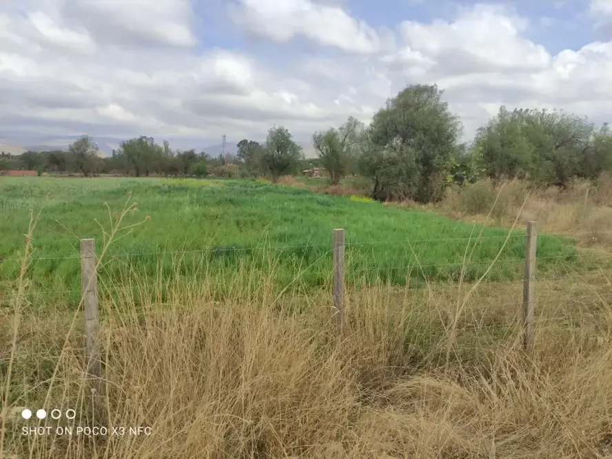 Foto 4 de Lote tu mejor inversión en ciudad de san Lorenzo - Tarija