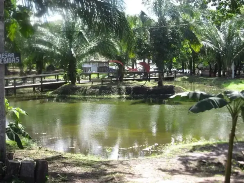 Foto 15 de Terreno en Venta – Reserva Chiquitana Aguas Calientes