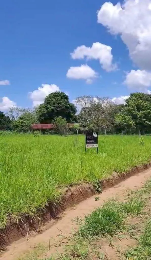 Foto 2 de Terreno en Venta, en Urbanización Ciudad Productiva - Colonia Japonesa San Juan