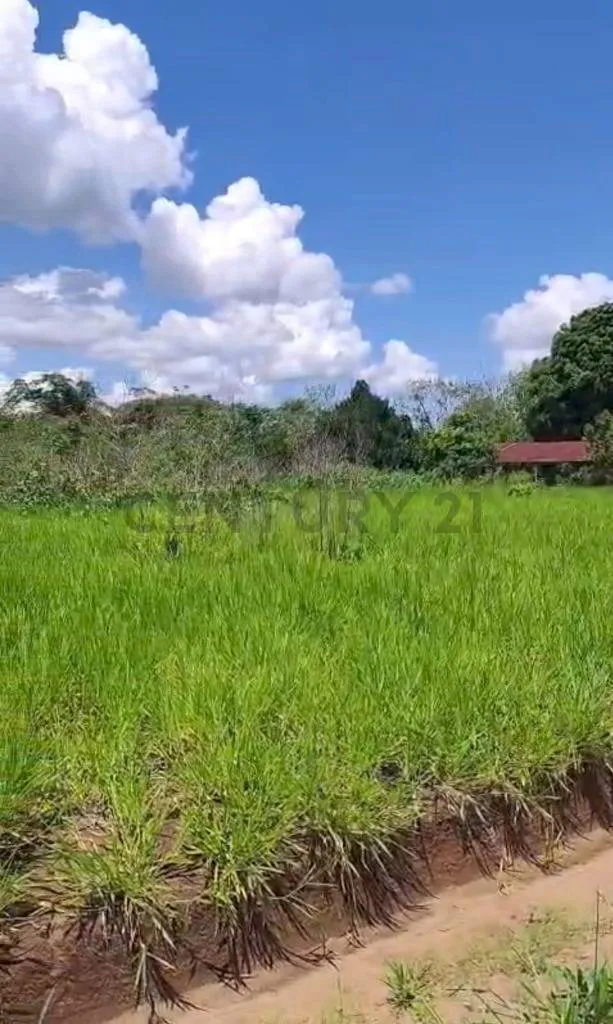 Foto 1 de Terreno en Venta, en Urbanización Ciudad Productiva - Colonia Japonesa San Juan