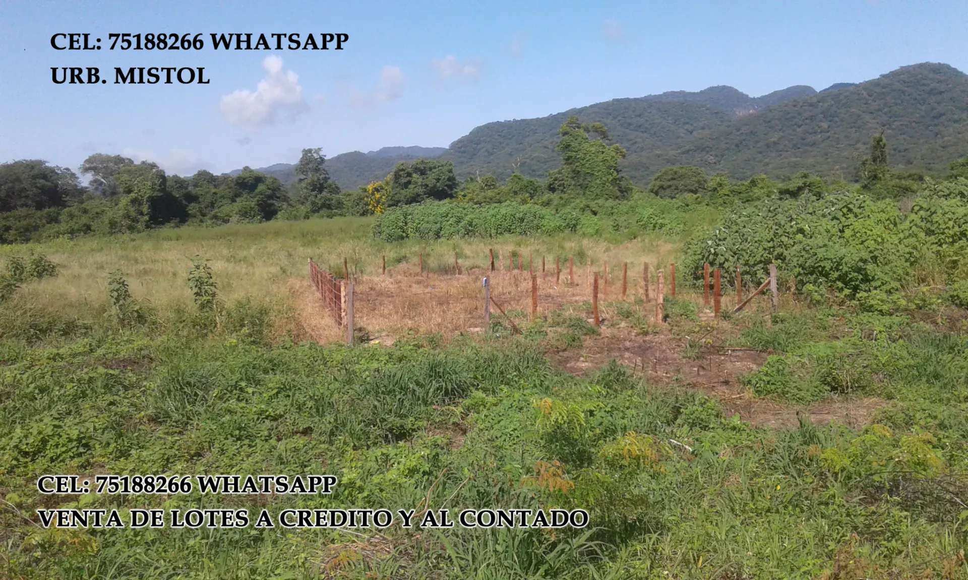 Foto 4 de venta de lotes