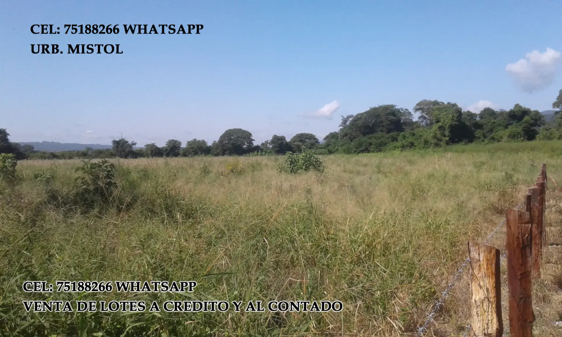 Foto 3 de venta de lotes