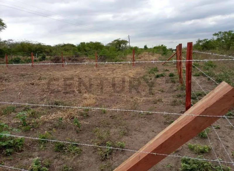 Foto 6 de Terrenos en Venta – Zona El Palmar Urbanización Villa Milagros – Brecha 7