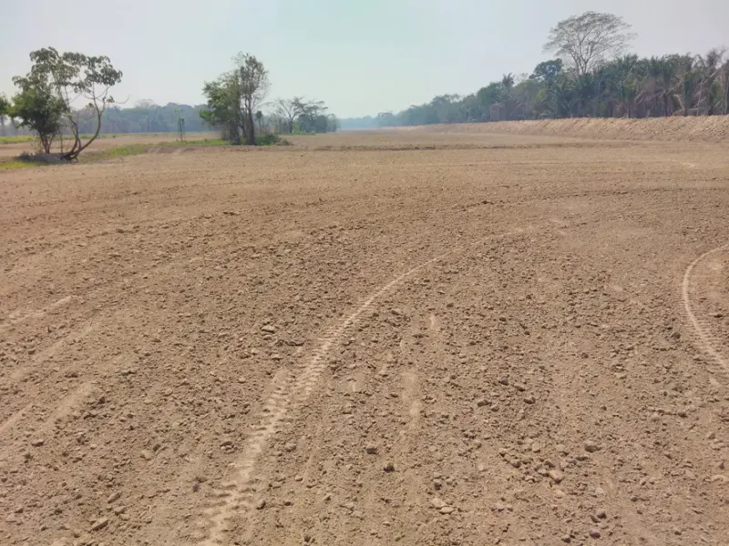 Foto 8 de Propiedad Agrícola y Ganadera en Venta – 390 Hectáreas | Zona Norte