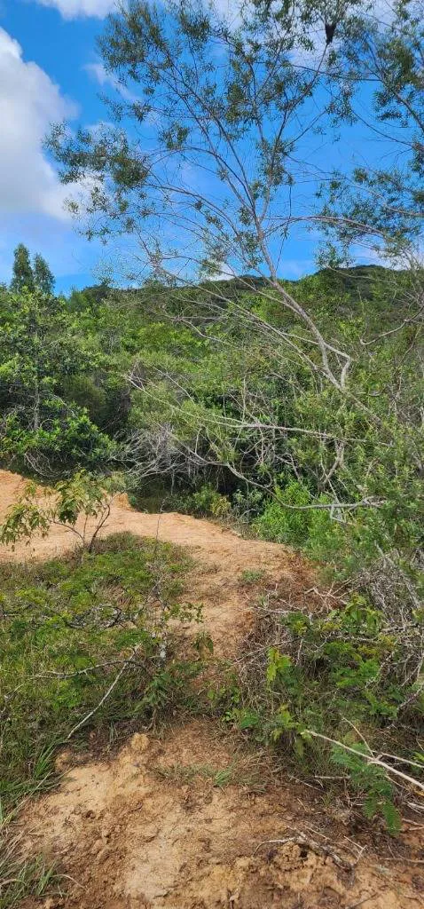 Foto 8 de Terreno en Venta - Samaipata
