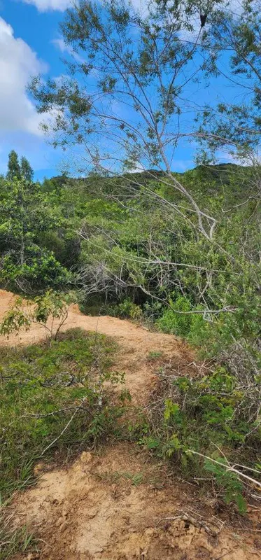 Foto 8 de Terreno en Venta - Samaipata