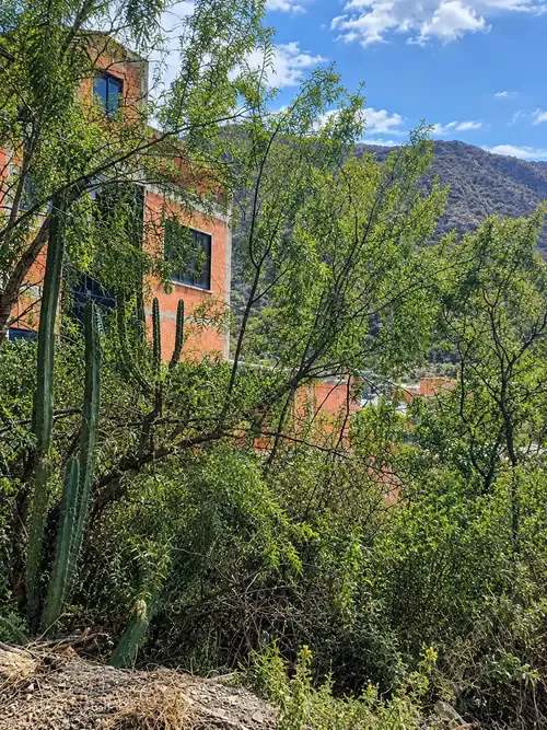 Foto 3 de Terreno en venta CARRERAS ✨ 🏡
