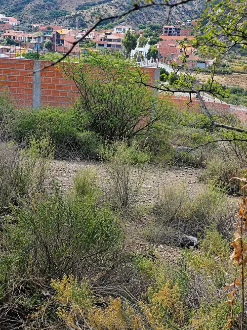 Foto 4 de Terreno en venta CARRERAS ✨ 🏡