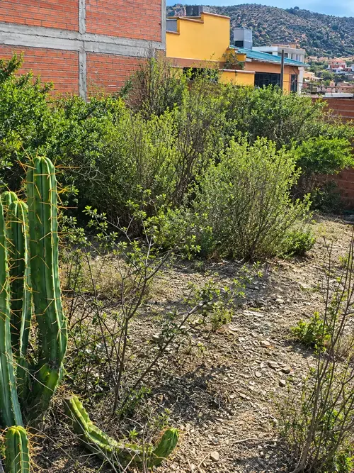 Foto 5 de Terreno en venta CARRERAS ✨ 🏡