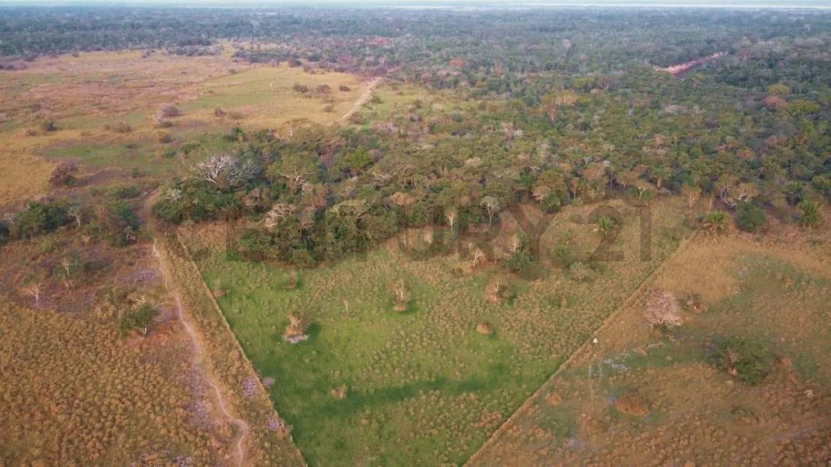 Foto 16 de Estancia Ganadera en Venta- Peru Rio Apere