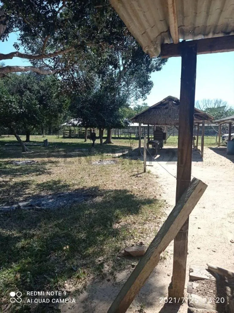 Foto 3 de Estancia Ganadera en Venta- Peru Rio Apere