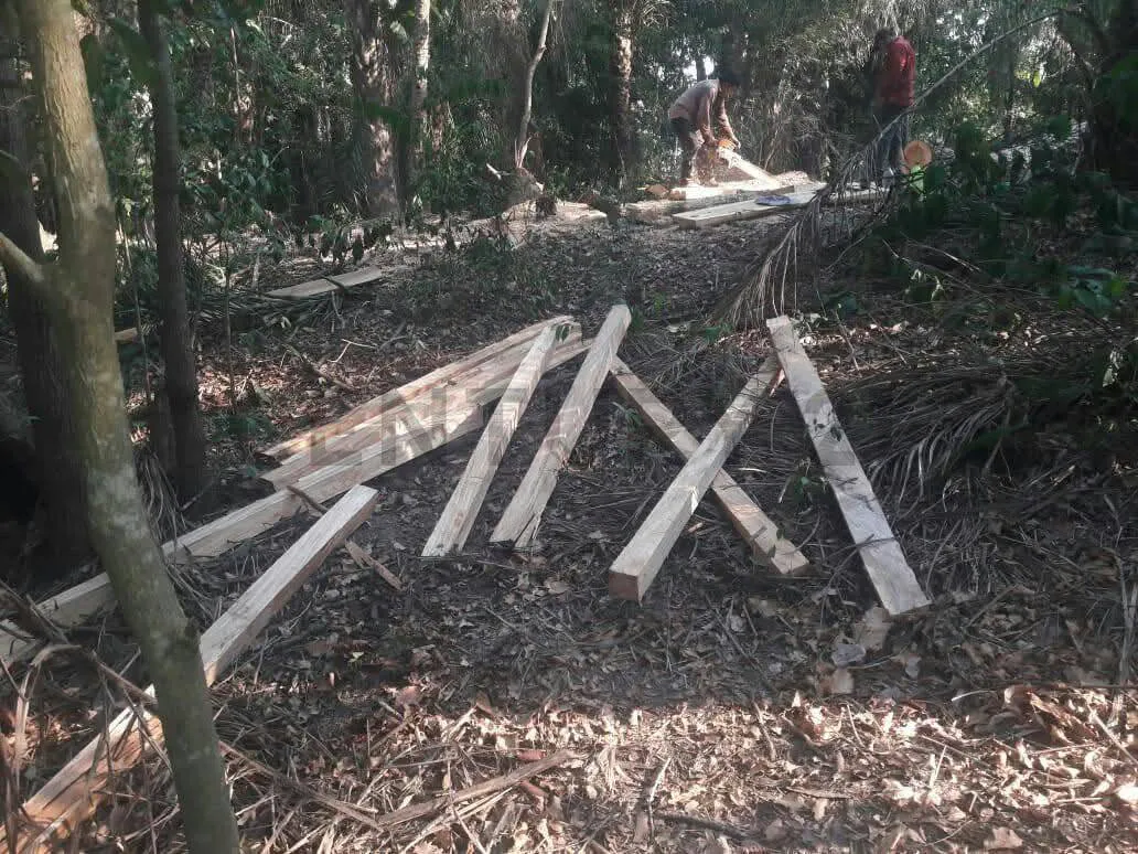 Foto 5 de Estancia Ganadera en Venta- Peru Rio Apere