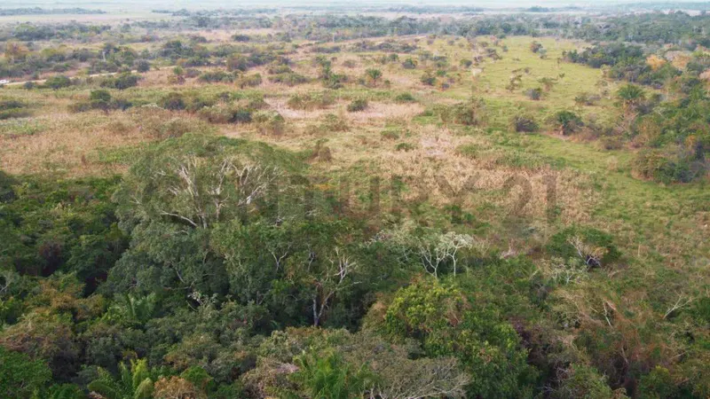 Foto 17 de Estancia Ganadera en Venta- Peru Rio Apere