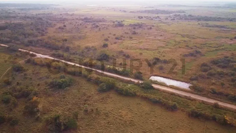 Foto 14 de Estancia Ganadera en Venta- Peru Rio Apere