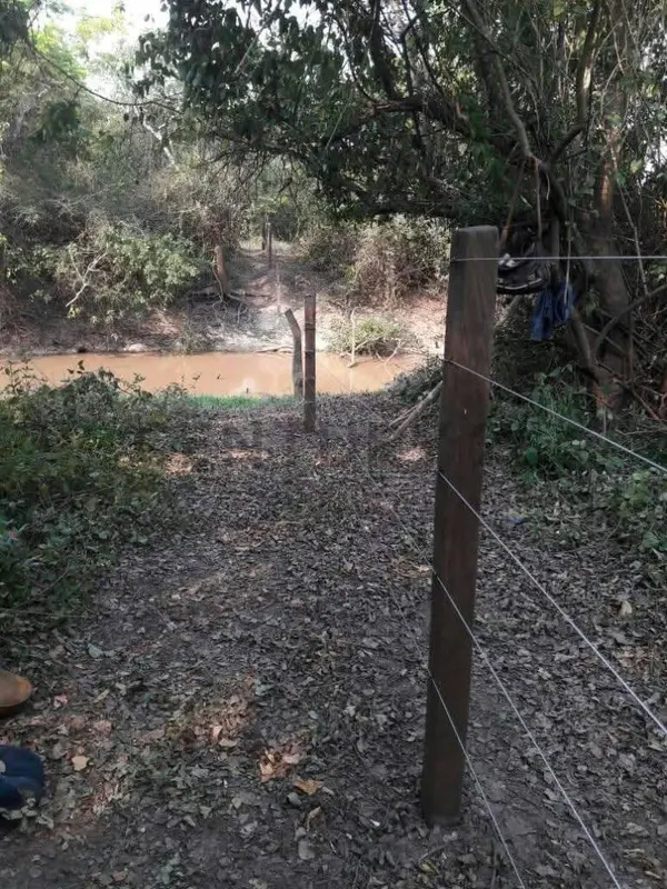 Foto 6 de Estancia Ganadera en Venta- Peru Rio Apere