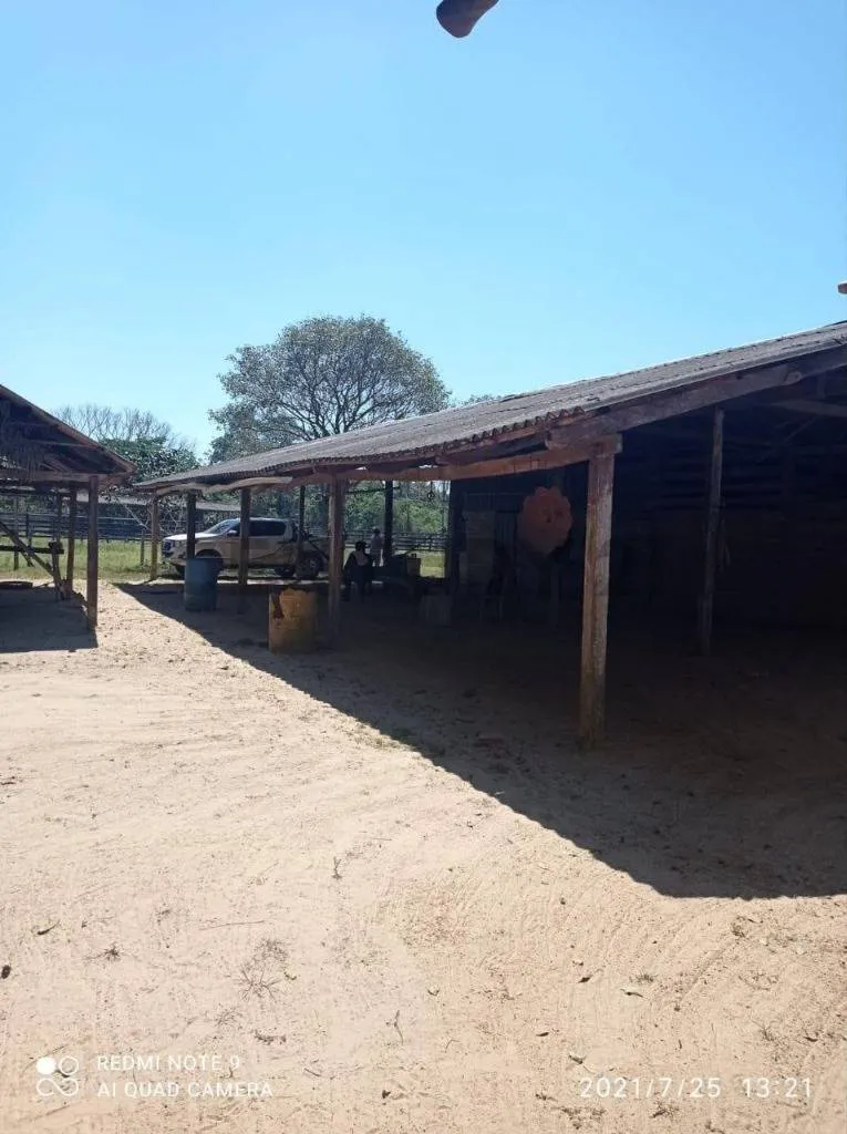 Foto 11 de Estancia Ganadera en Venta- Peru Rio Apere