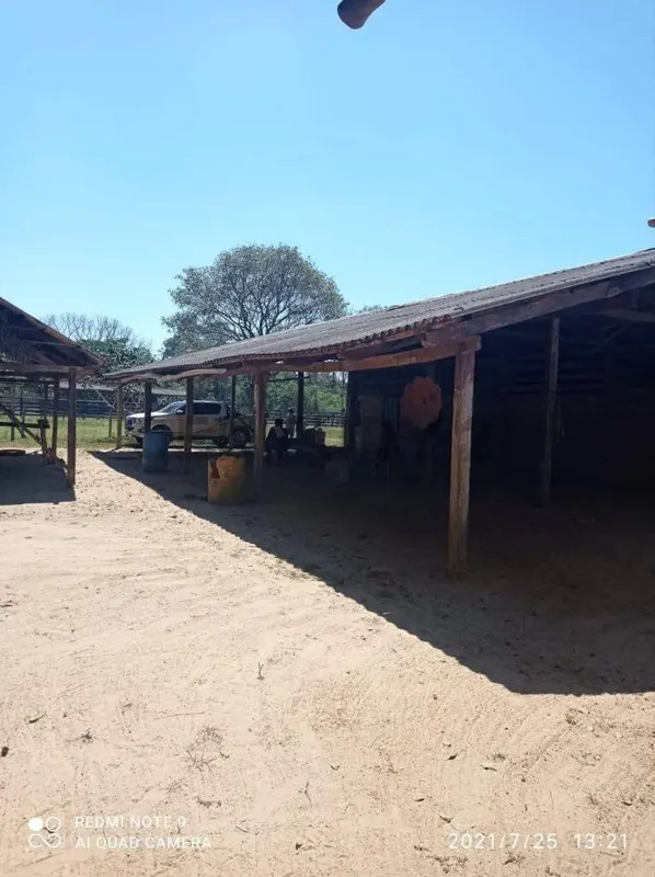 Foto 11 de Estancia Ganadera en Venta- Peru Rio Apere