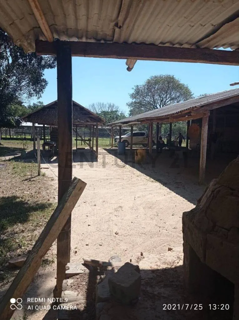 Foto 13 de Estancia Ganadera en Venta- Peru Rio Apere