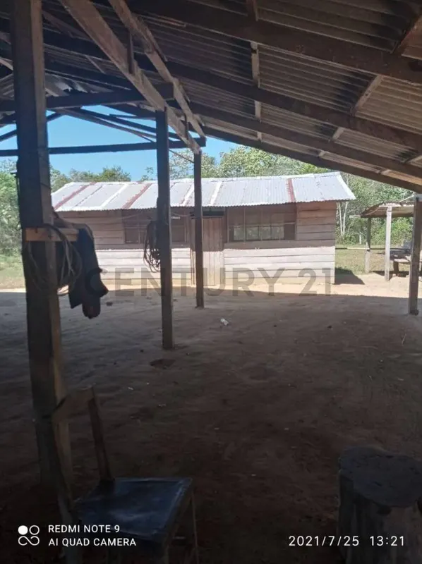 Foto 10 de Estancia Ganadera en Venta- Peru Rio Apere