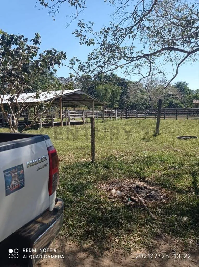 Foto 2 de Estancia Ganadera en Venta- Peru Rio Apere