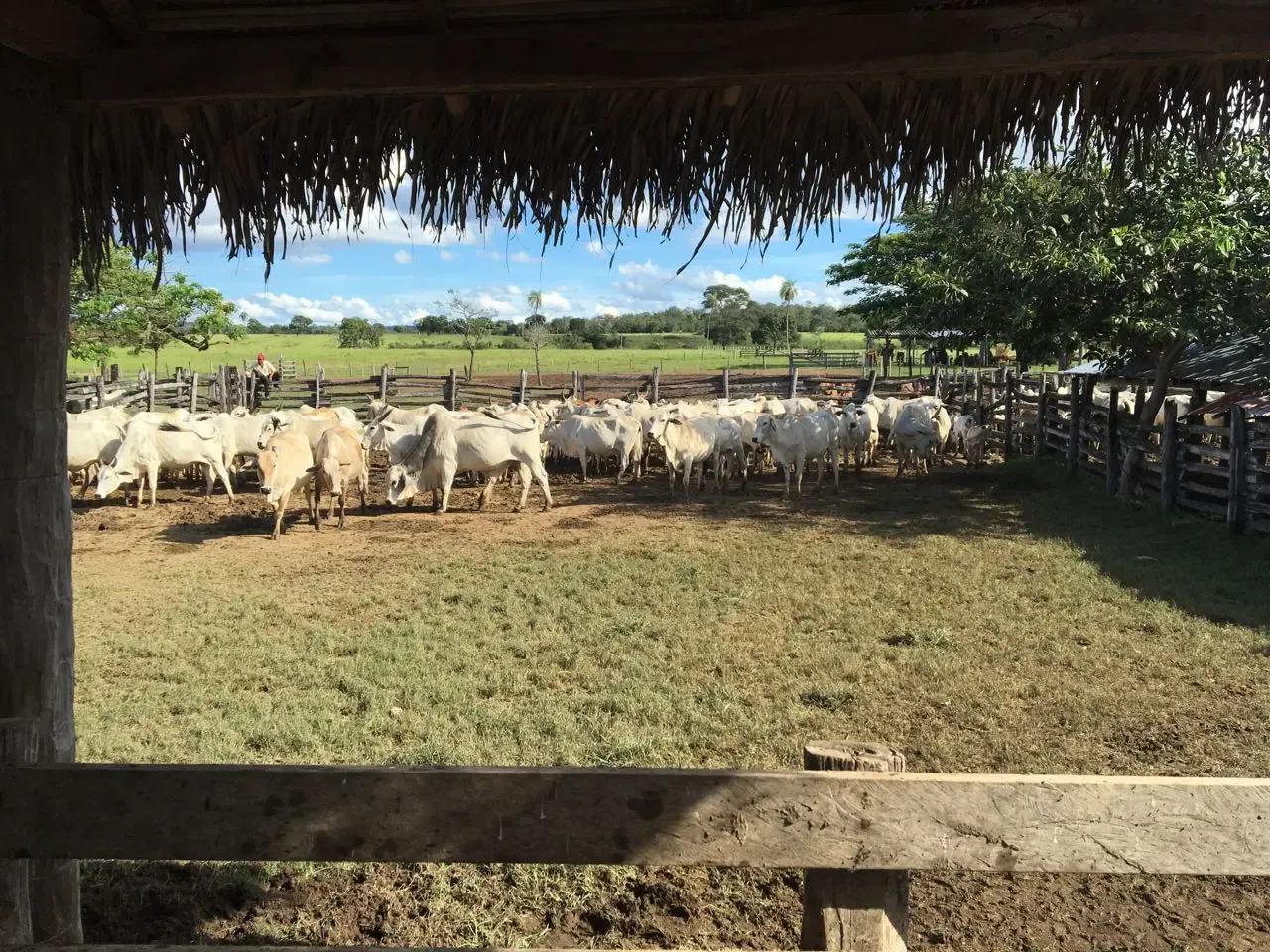 Foto 1 de Venta de propiedad Ganadera y Agrícola de 11300 hectáreas. a 6.500.000 USD