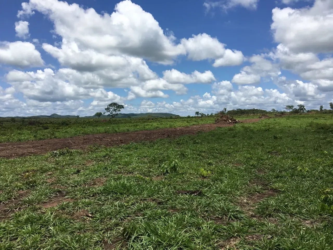 Foto 2 de Venta de propiedad Ganadera y Agrícola de 11300 hectáreas. a 6.500.000 USD