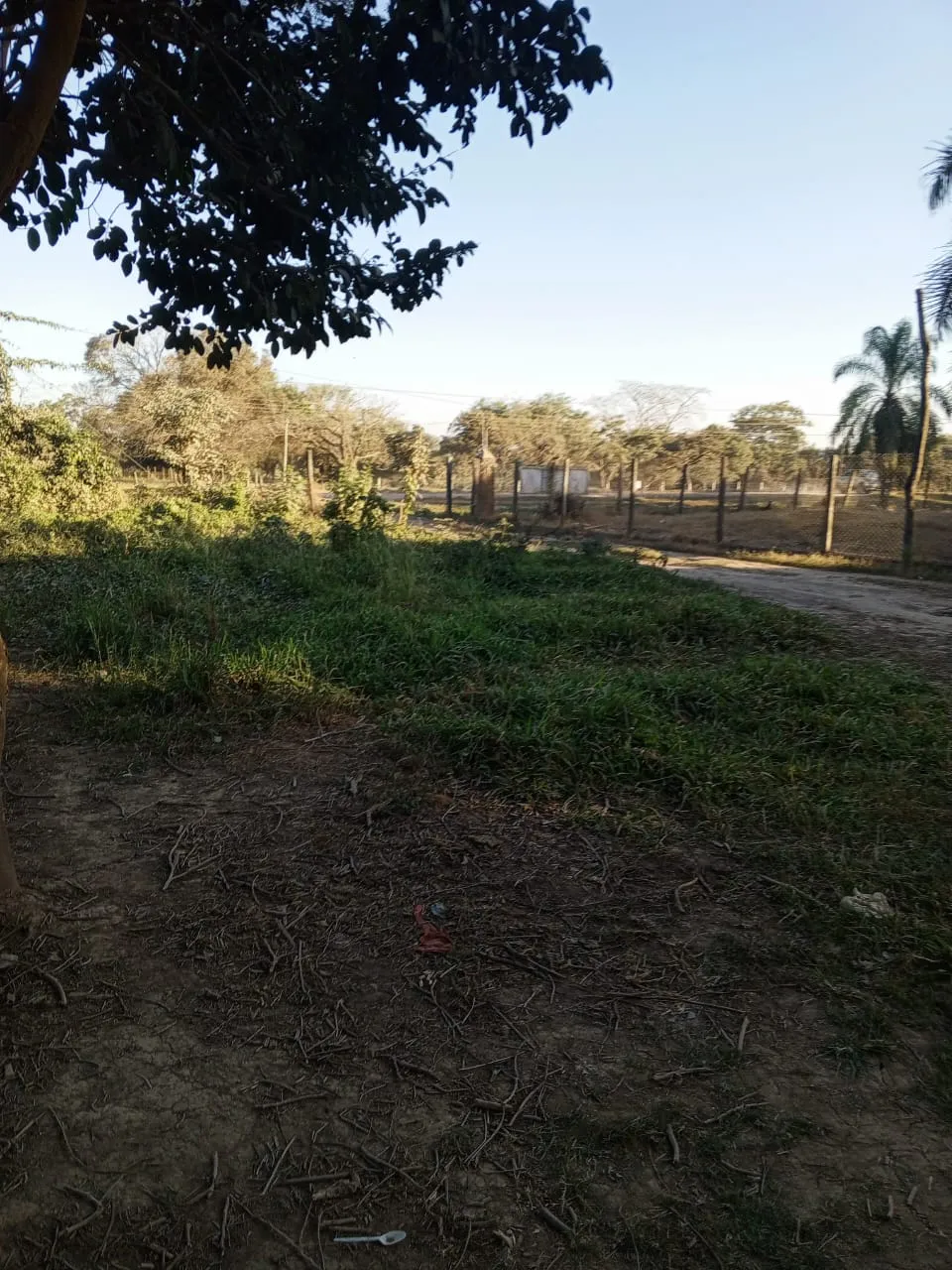 Foto 9 de Terreno de 5.000m2 en Okinawa Uno, sobre carretera Hardeman /Colonia Pirai,