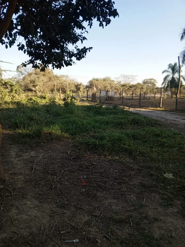 Foto 9 de Terreno de 5.000m2 en Okinawa Uno, sobre carretera Hardeman /Colonia Pirai,