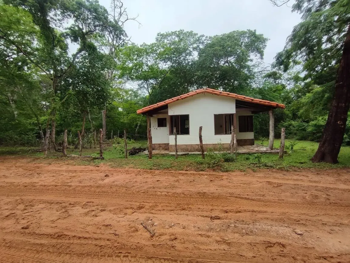 Foto 5 de Propiedad Ganadera en Venta, Limoncito,