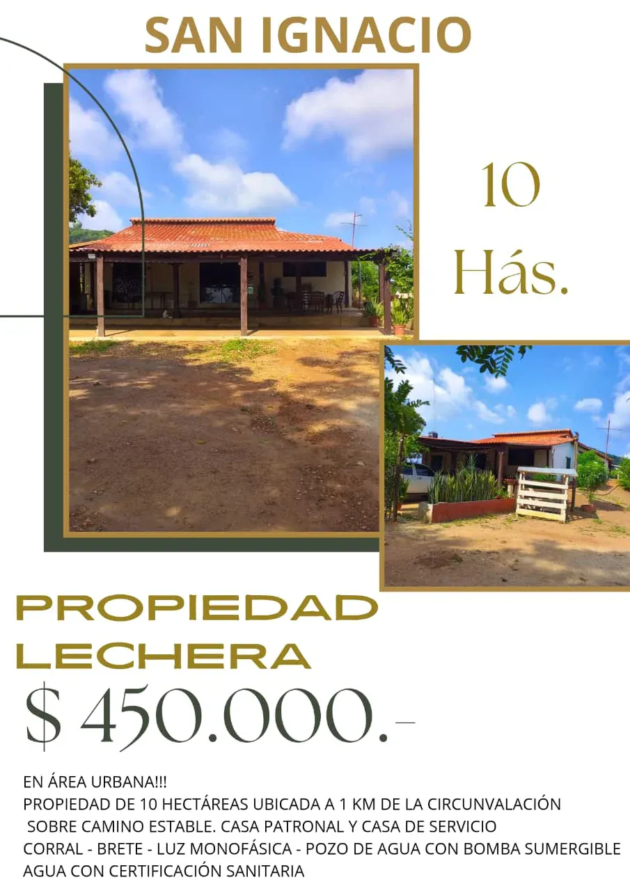 Foto 2 de Propiedad Lechera en Venta
