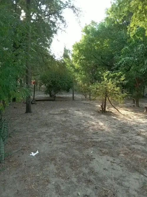 Foto 20 de Casa en Venta en Localidad de Robore